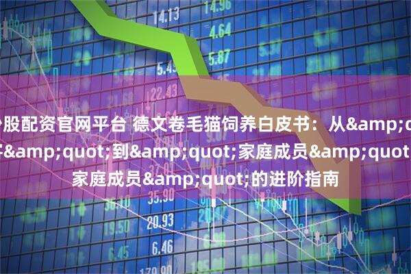 炒股配资官网平台 德文卷毛猫饲养白皮书：从"外星来客"到"家庭成员"的进阶指南